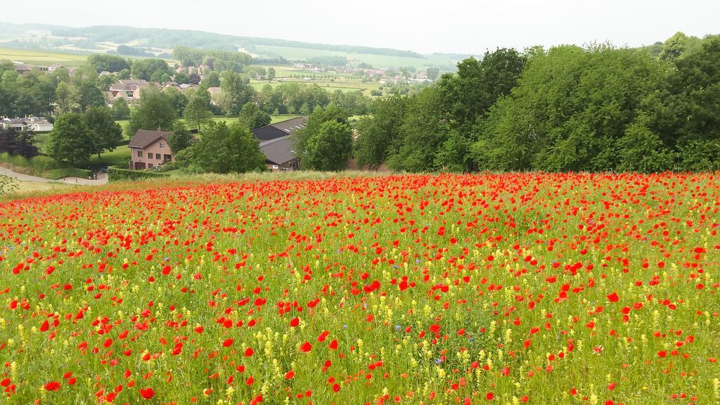 Vila Belle - Mooi Zuid Limburg Simpelveld Exteriér fotografie