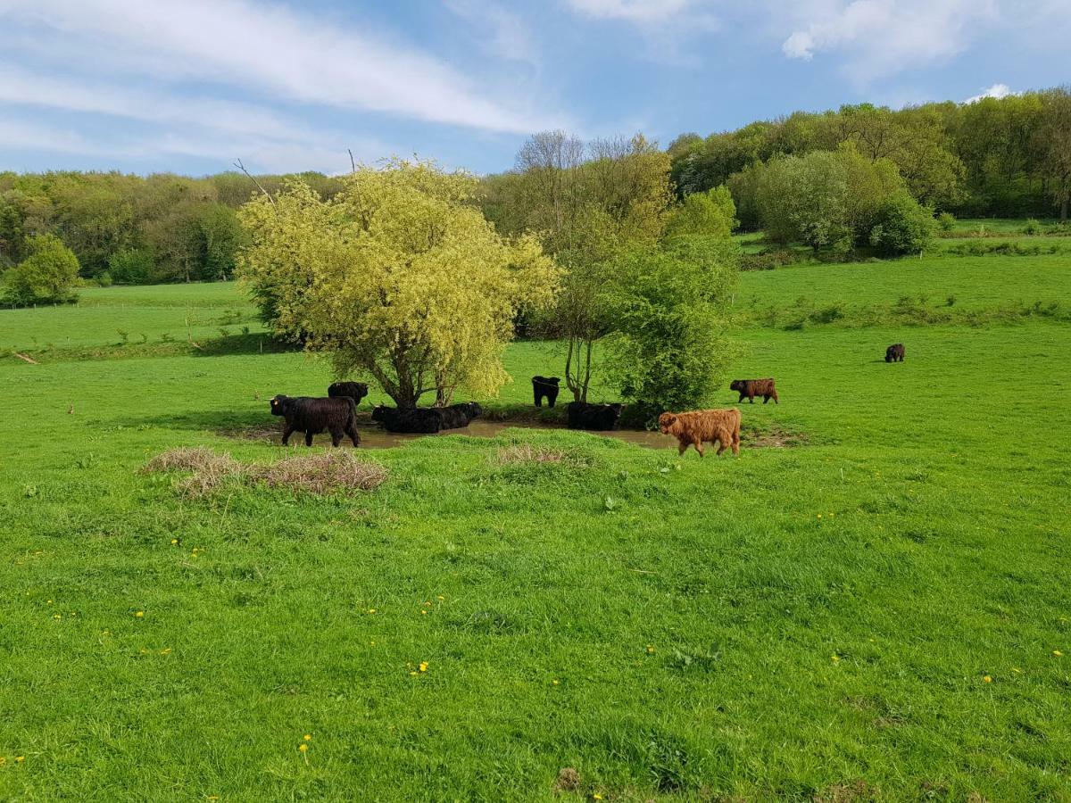 Vila Belle - Mooi Zuid Limburg Simpelveld Exteriér fotografie